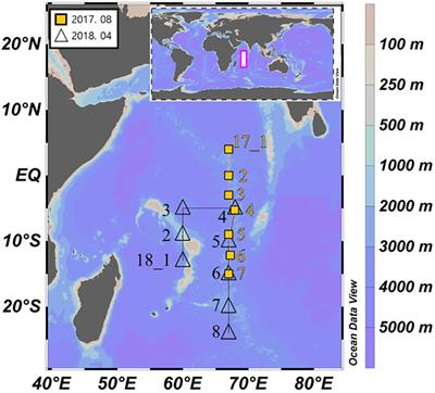 Particulate organic carbon export fluxes across the Seychelles-Chagos thermocline ridge in the western Indian Ocean using 234Th as a tracer